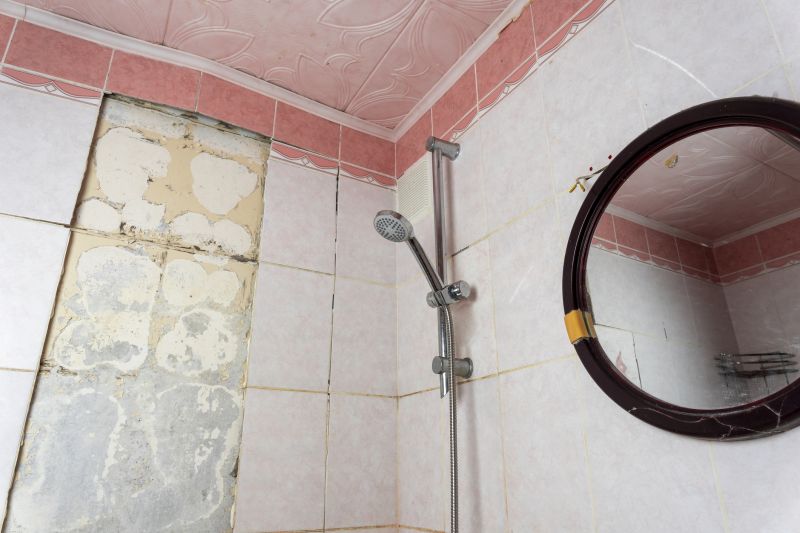 Top Shower Remodeling Companies in Cedar Park, TX